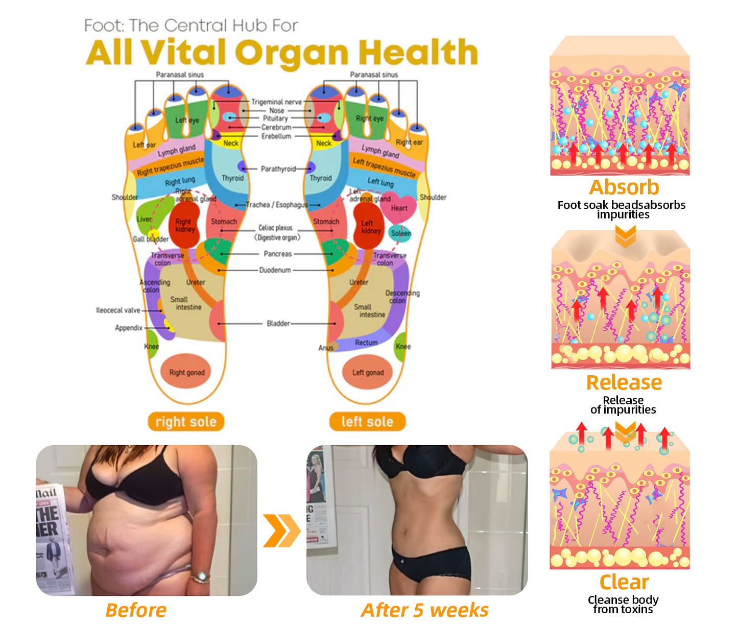 30-Herb Slimming & Detox Foot Bath Beads-🦵👩‍⚕️(LANA Certification, Lymphatic Association of America)